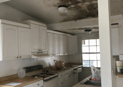 Mold remediation Florida