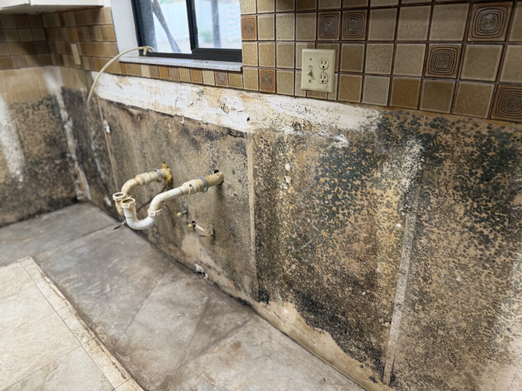 20251207_140434713_iOS Mold Remediation