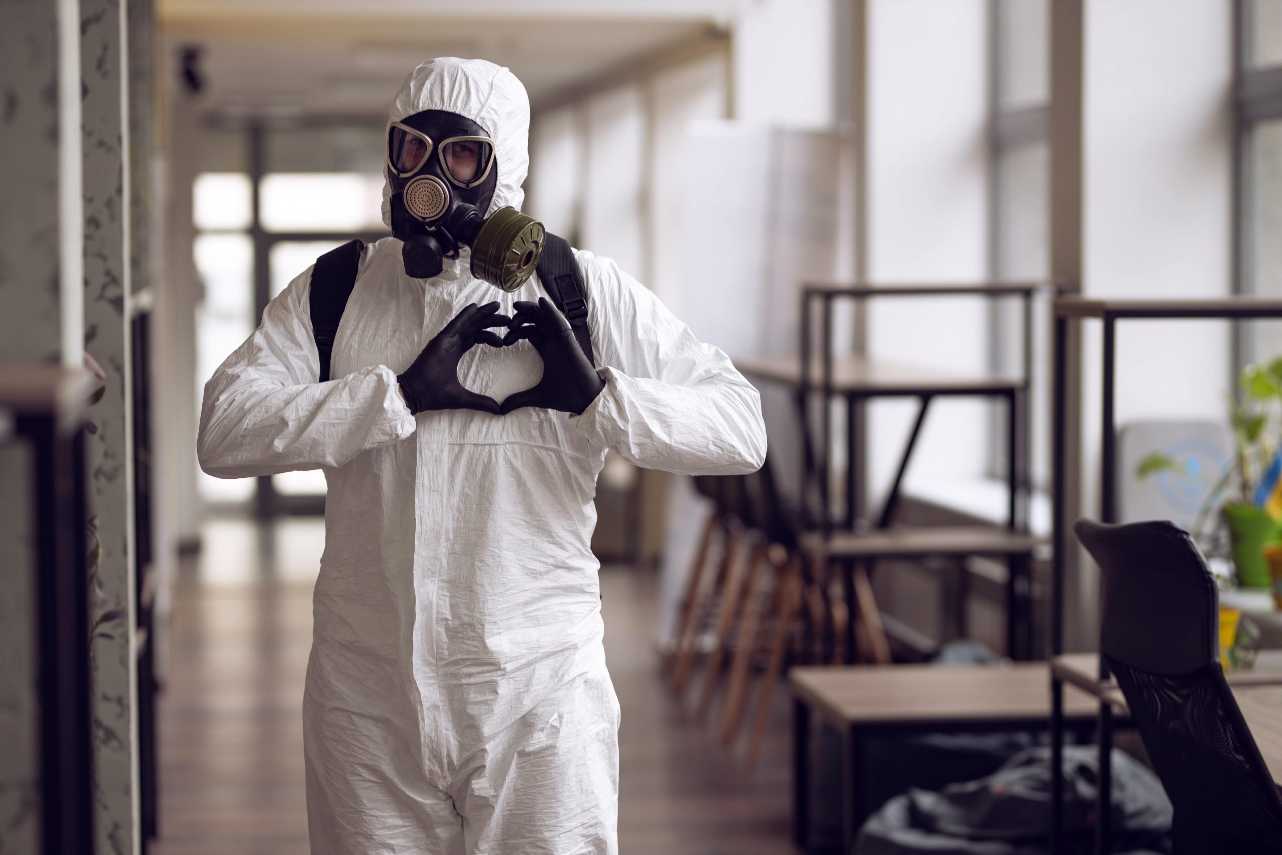 Mold Remediator