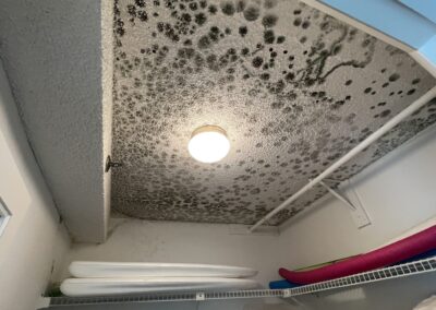Mold Remediation