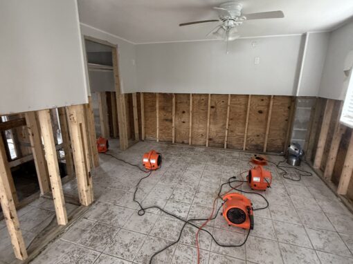 The Aftermath of a Major Storm | Hidden Mold Created From High Humidity The Aftermath of a Major Storm | Hidden Mold Created From High Humidity