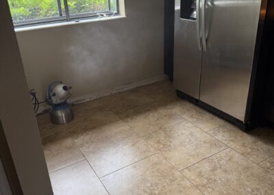 Mold Remediation