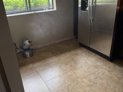 Mold Remediation | Traditional V.S. Smart Nano Purification