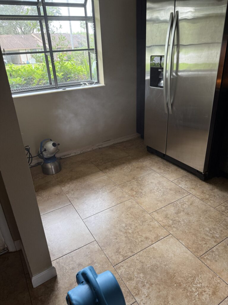 Mold Remediation
