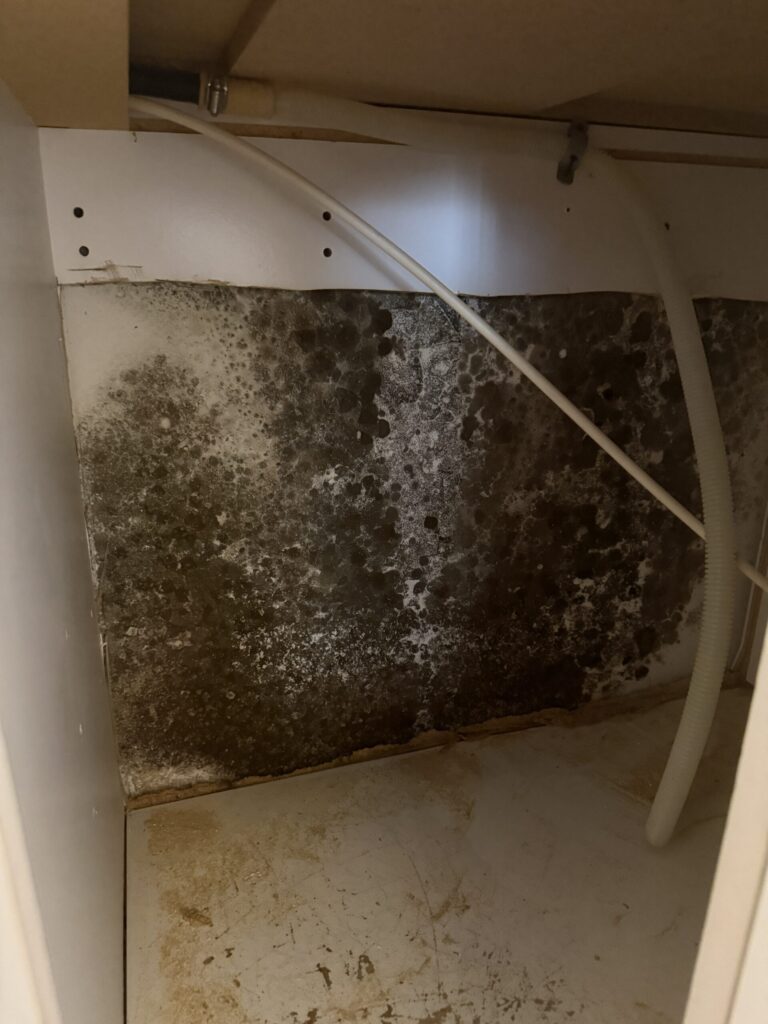 Hidden Mold