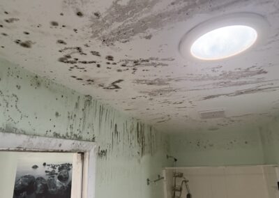 Mold Remediation