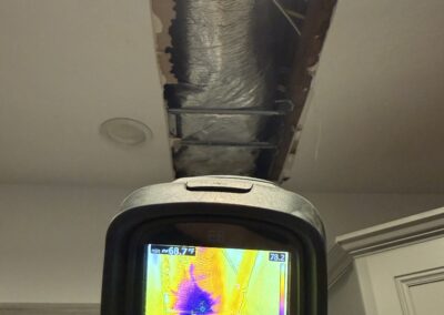 HVAC Mold Remediation