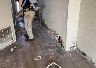 Mold Remediation