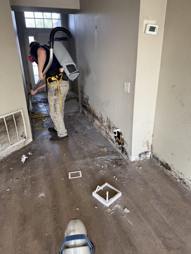 20251223_201237009_iOS Mold Remediation