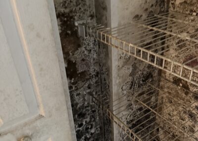 Mold Remediation