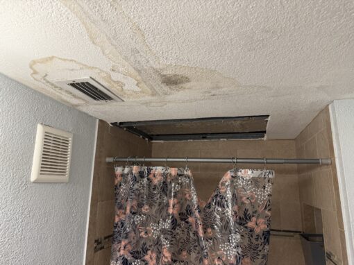 How Long It Takes Mold from Water Damage to Grow? How Long It Takes Mold from Water Damage to Grow?