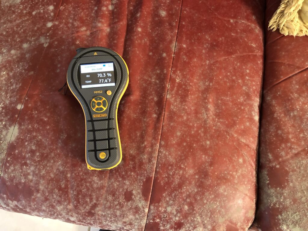 Mold Remediation