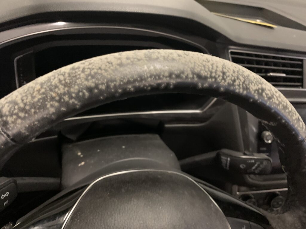 IMG_2557-scaled Mold in car