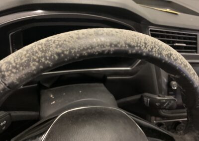Mold in car