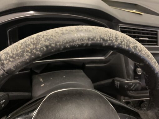 Mold in Cars: Causes, Risks, and Smart Solutions Mold in Cars: Causes, Risks, and Smart Solutions