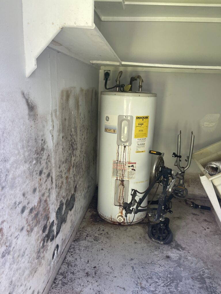 Mold Remediation Boca Raton Fl Mold Remediation
