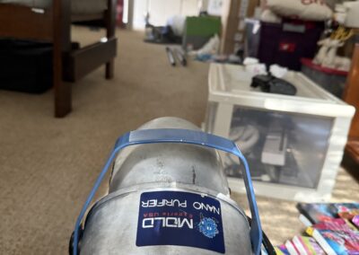 Mold Removal