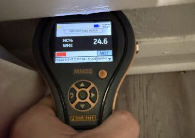 Moisture Detection